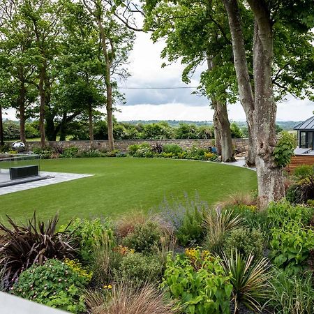 Dafarn Newydd Studio แคลนเกฟนี ภายนอก รูปภาพ